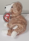 Ty Beanie Baby - Sniffer The Dog  6 5 Inch  New Mwmts Plush Stuffed Animal Toy