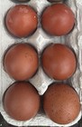 6 Hollow Brick Red Chicken Eggs - Hand Blown Eggshells For Crafts