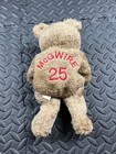 Salvino s Bammers Collectors Club  25 Mark Mcgwire Beanbag Plush Bear 1999