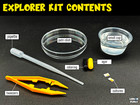 Slime Mold Educational Science Kit  Physarum Polycephalum Study Project