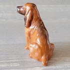 Vintage Royal Doulton Dog Figurine Hound W  Bandaged Leg Holding Up Glossy