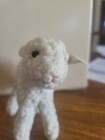 Antique Early 1900 s Steiff Teddy Bear Co  Wool Sheep With Button Eyes