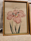 Yokohama Nursery Company  Two Vintage Iris Woodblock Prints