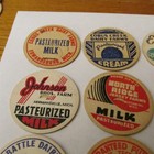 19 Michigan Milk Bottle Caps  All Different 56mm Unused