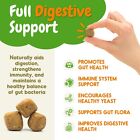 Inner Paw Natural Probiotic Digestive Chews For Dogs 120 Soft Dog Chews