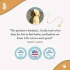 Broad Spectrum De-wormer For All Dogs