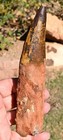 7 Inch Long Spinosaurus Tooth Real Dinosaur Teeth Fossil Extinct Spinosaur Relic