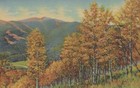 When Autumn Paints The Trees Hills Magic Colors Nature Linen Vintage Post Card