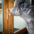 Bell Dog Doorbell For Housebreaking housetraining Door Puppy Bell potty Trai   