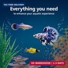 Aqueon Aquarium Starter Kit With Smart Clean Filtration And Led Lighting  Freshw