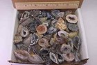 Oco Geode 1 Lb Lot Natural Polished Agate Crystals Druzy Geode Halves