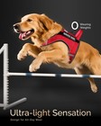 Service Dog Vest For Large Dogs - Air Mesh Breathble Emotional Support Animal   