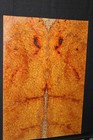 Amboyna Burl Book Matched Guitar Top   Personal Stash  Stunning Set 