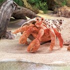 Folkmanis Hermit Crab Hand Puppet