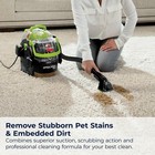 Bissell Little Green Pro Portable Carpet Cleaner  2505
