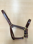 Walsh Brown Leather Horse Halter With Brass Hardware