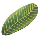 Bath Rug Green Leaf Non-slip Absorbent Shower Floor Bathroom Carpet Door Mat Usa