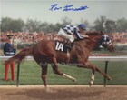 Secretariat Triple Crown Triple Photo Commemorative Framed Signed Ron Turcotte