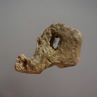 Natural Hag Stone 2 10 Oz 