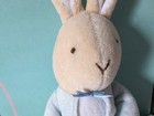 Frederick Warren Eden Plush My First Peter Rabbit 10  Soft Toy Beatrix Potter