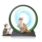 Cat Exercise Wheel  31 Inch Cat Wheels 