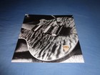 Photo Booklet Van Halen For Unlawful Carnal Knowledge From The 2024 Expanded Ed 
