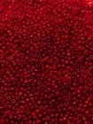 Vintage Glass Seed Beads Italian Transparent Antique Red 11 0 30g C24-2