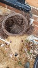 Hedgehog Plant Pot Cover Natural Materials Used But Vgc