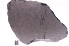 Muonionalusta Etched  Meteorite Full Slice Weight 345 Grams 7 Inches