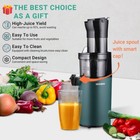 Slow Juicer Machine Masticating Cold Press Juicers Squeezer Vegetable Processor