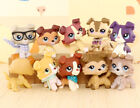 Pet Shop Lps 10pcs Collie Set Dog With Accessories Who Love Lps Kids Gift Rare