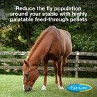 Farnam Simplifly Feed Through Fly Control For Horses  Breaks The Fly Life Cycle