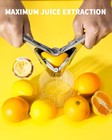 Lemon Squeezer  Stainless Steel Lemon Juicer  Manual Juicer For Lemon Citrus    