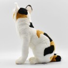 Hansa Calico Cat 36 Bh7028 New Realistic Plush Animals From Japan