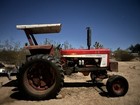 1976 International Harvester 666 Tractor Farmall Diesel