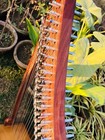22 String Harp Solid Rosewood Extra Strings   Carrying Case Great For Teenagers