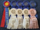  middle Ranch   Horse Show Ribbons Awards Equestrian Events