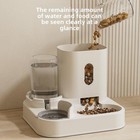 Cat Dog Automatic Feeder Water Dispenser 2 In 1 Gravity Food Water Bowl Se