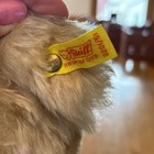 Steiff Teddy Bear Jointed 0201 51 Button Tag 20  Vintage Western Germany