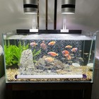 Aquarium Bubble Strip Bar Ultra Quiet High Dissolved Oxygen Diffuser Air Stones