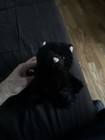 No Code Webkinz Ganz Sparkle Black Cat Plush Stuffed Animal Green Eyes Whiskers