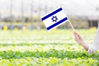 50 Pack Israel Israeli On Stick Flags small Mini Hand Held Israel Israeli Fla   