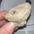 Natural Hag Stone 1 35 Oz 