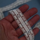 Vintage Lace Border - Antique French Bobbin Lace Cotton Trim For Diy Projects