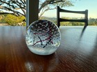 Vintage Caithness Paperweight The Marriage Of The Price Of Wales And Lady Diana 