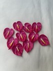 60 Pcs Anthurium Mixed Color Clay Beads  2 Cm  For Jewelry Making Craft Supplies