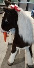 Hasbro Furreal Friends S   mores Life-size Animatronic Plush Pony works 