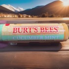 10 Pack - Burt s Bees Cucumber Mint Lip Balm  brand New Sealed   Moisturizing