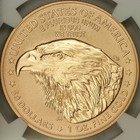 1776-2026-w  50 Enhanced Finish Gold Eagle Ngc Ms70er 250th Anniversary Privy
