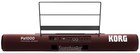 Korg Pa1000 61-key Professional Arranger
